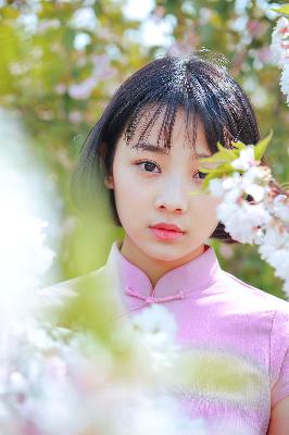 2019年最好看的中文大全在哪看？速来揭秘！